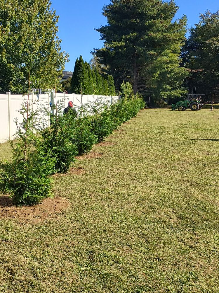 All Photos for Marino's Landscaping in Mannington Township, NJ