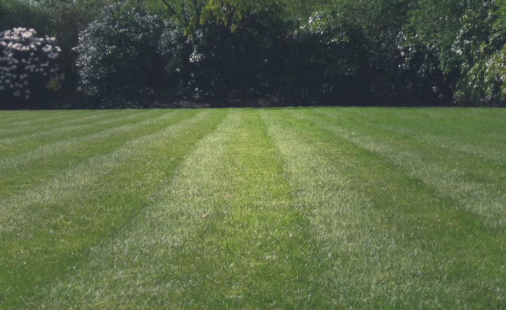 Landscaping for Bros With A Cause in Cumming, GA