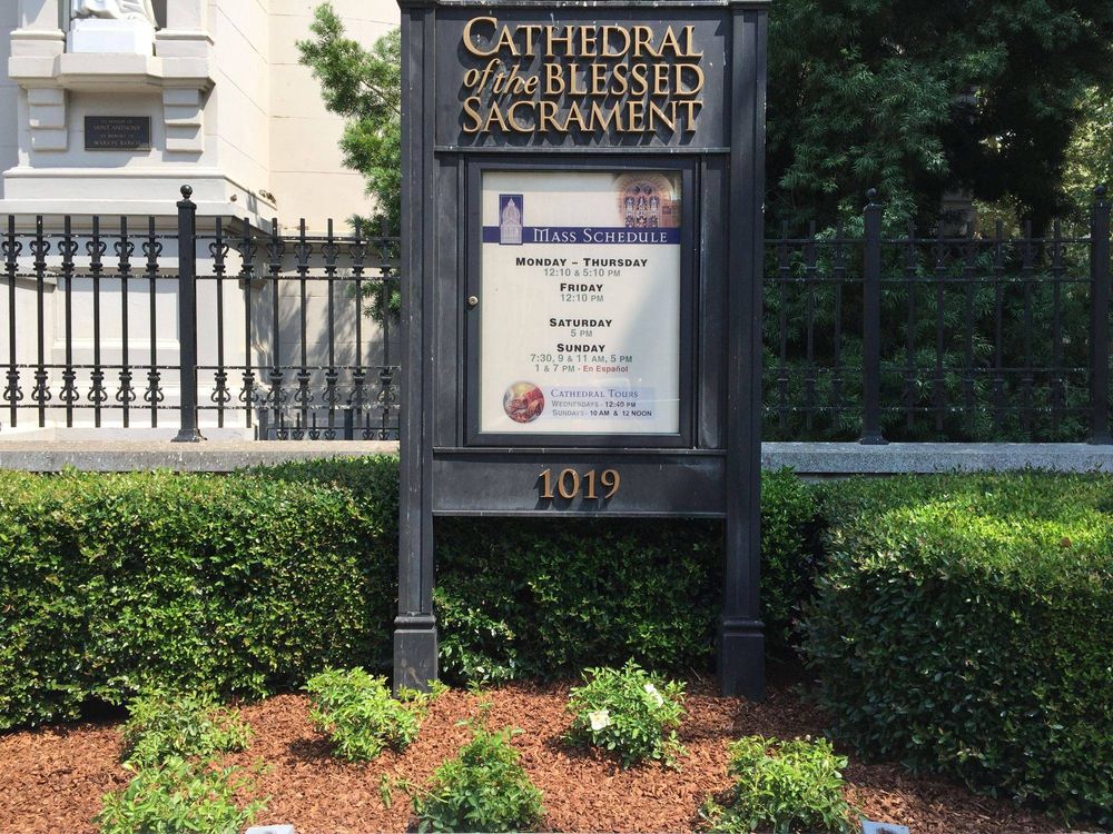 All Photos for Blue Water Landscape Services in El Dorado Hills, CA