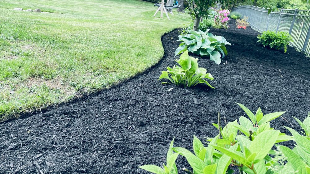 All Photos for Green Stripes LLC in North Canton, OH