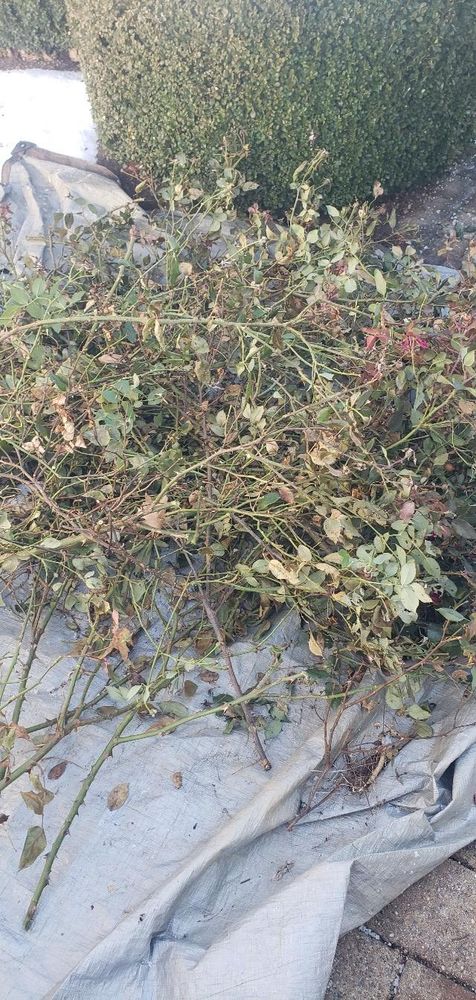 All Photos for Clean Cut Lawns & Landscaping in Dickerson, MD