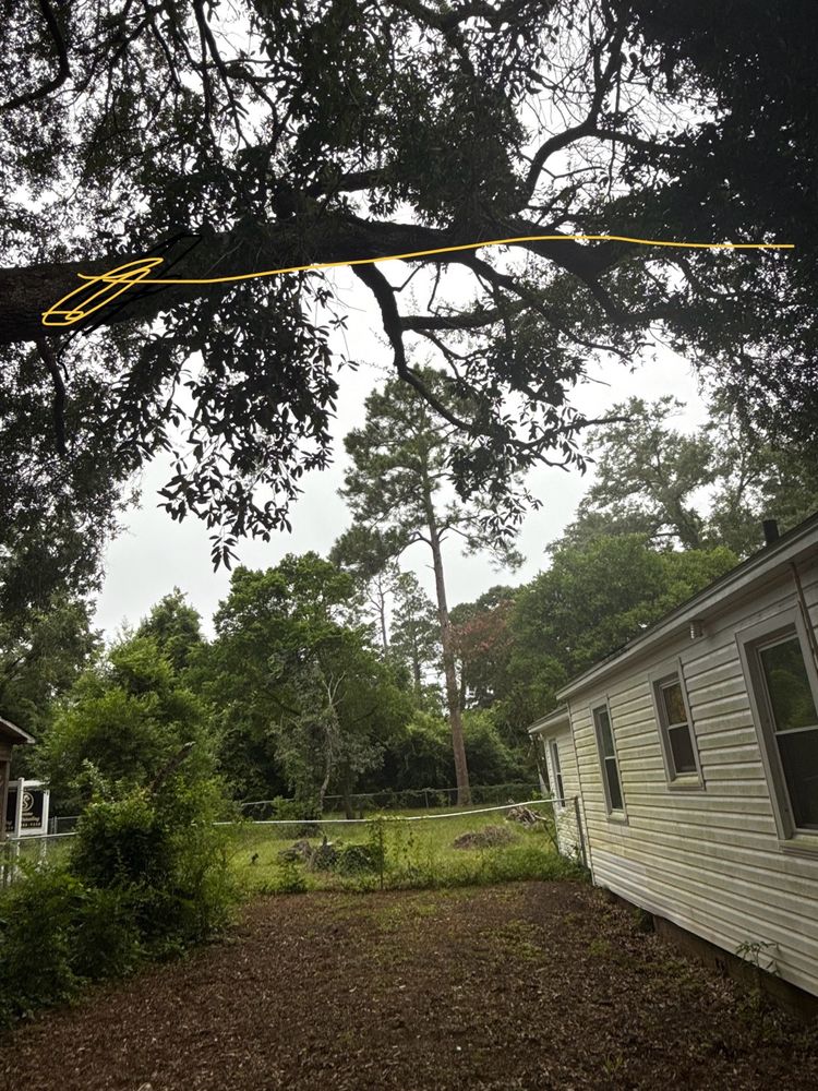 Our Danger Tree service ensures safety by carefully identifying and performing expert tree trimming to prevent hazardous trees from threatening your home or property, ensuring peace of mind year-round. for Hawkins Tree Service & Land Management in Richmond Hill, GA