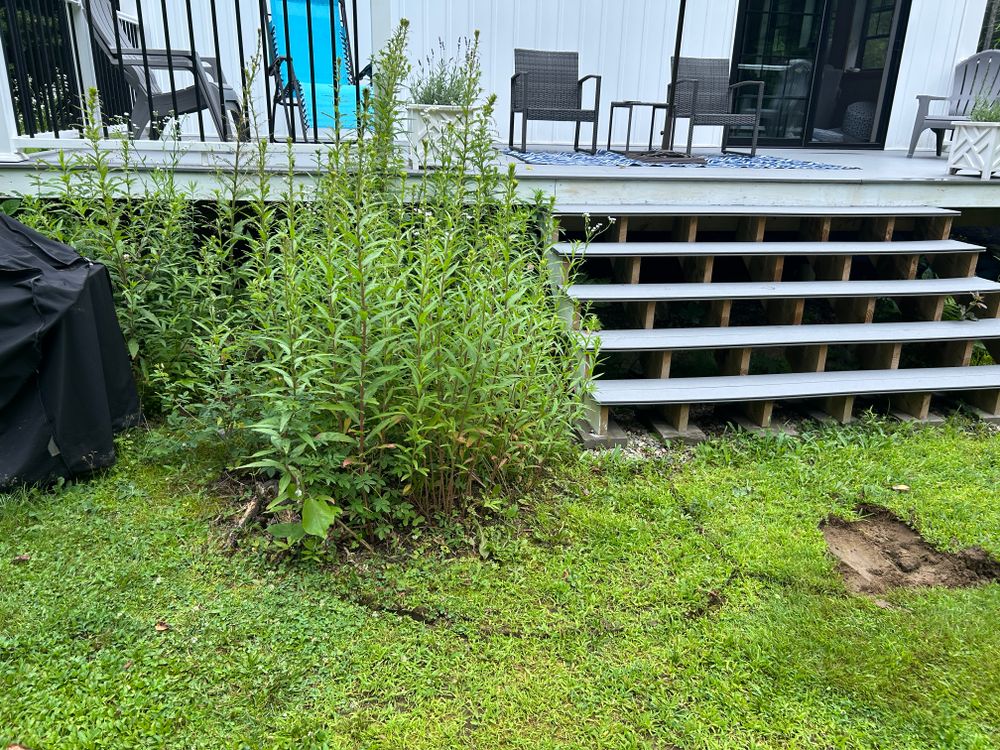All Photos for CM & Sons Landscaping LLC in Benton, ME