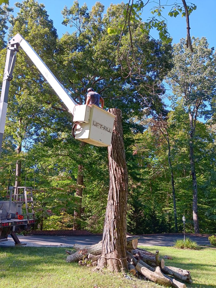 All Photos for The Webster Tree Service in Danville, VA