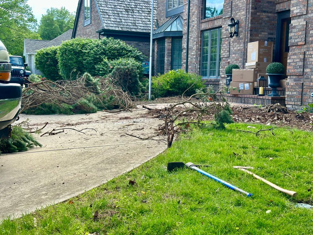 All Photos for Manny's Cleaning,Lawn Care & Snow Removal Services in Champaign, IL