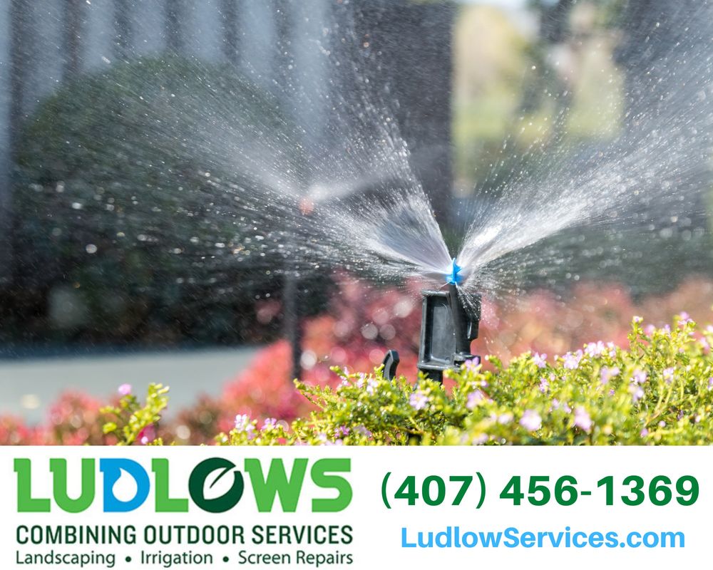 All Photos for Ludlows Services in Clermont, FL