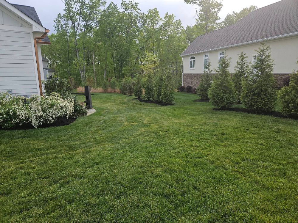 Lawn Care for Browns Grounds in Culpeper, VA