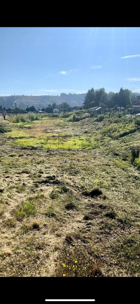 Tree Removal for Wilderness Stump Grinding in Orting, WA