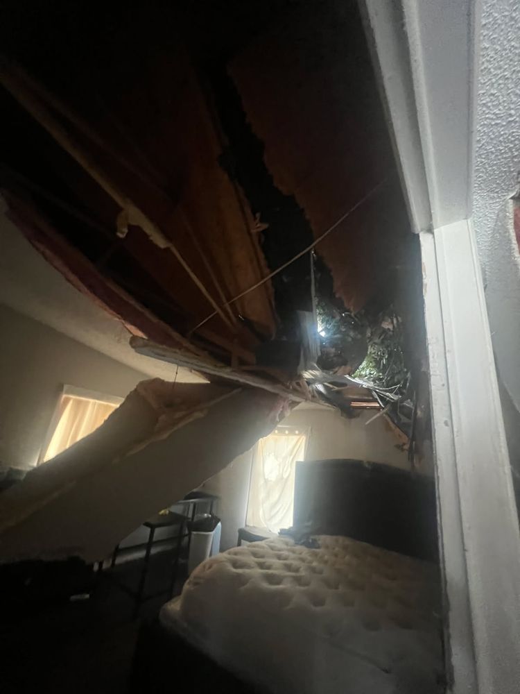 All Photos for TREE BOYS in Ruskin, FL