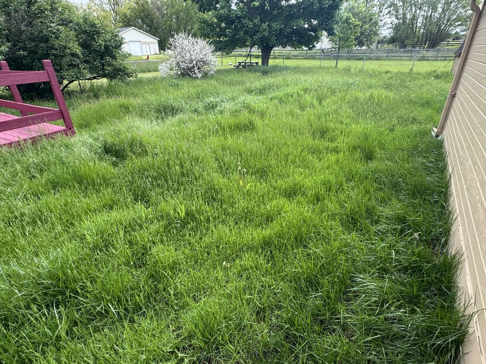 Landscaping Lawn Care for Daugherty's Tough Lawn Care in Essexville, MI