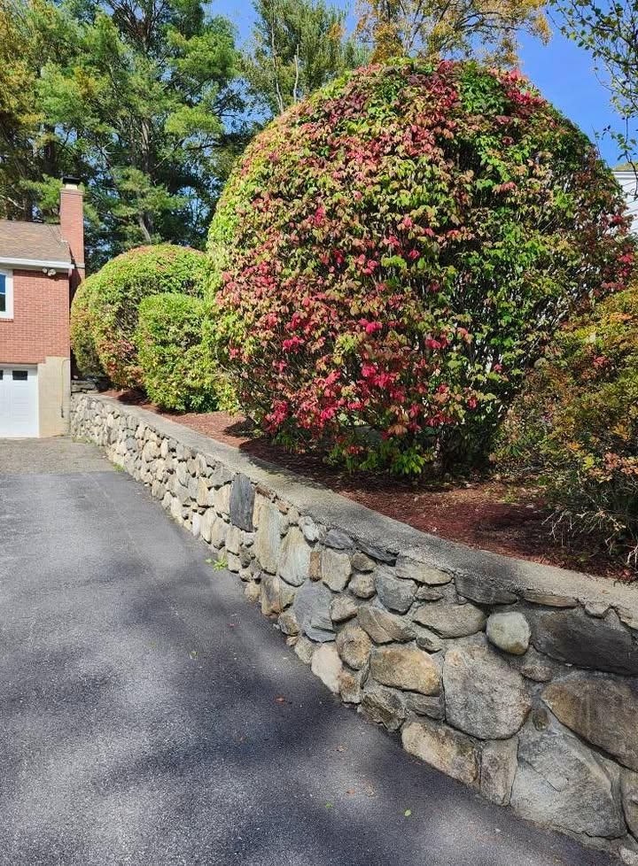 All Photos for Landscape Innovations LLC in Torrington, CT