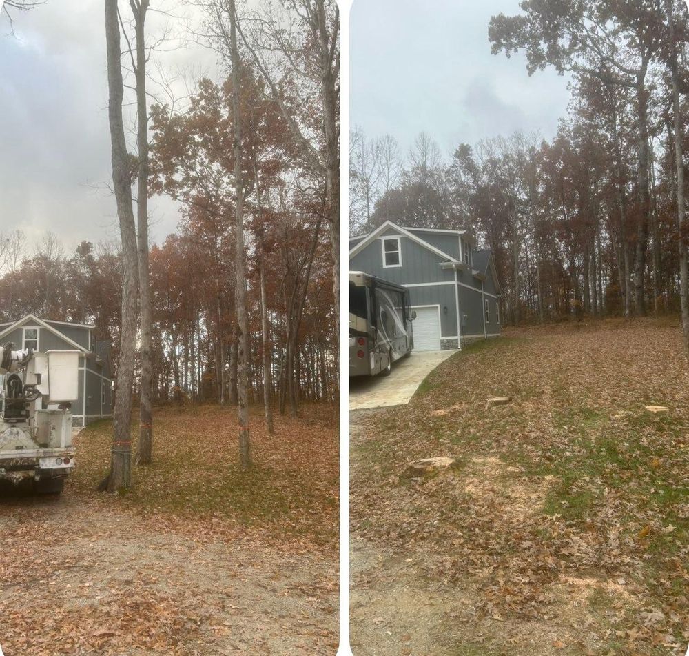 All Photos for McBee’s Tree Service in Sewanee, TN