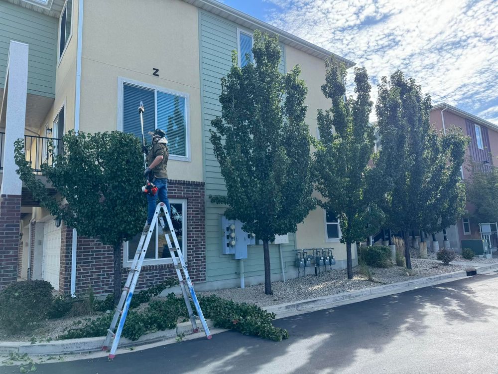 All Photos for L&S Landscaping in Layton, UT