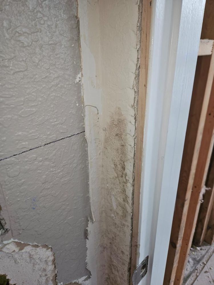 Mold Remediation for N&D Restoration Services When Disaster Attacks, We Come In in Cape Coral,  FL