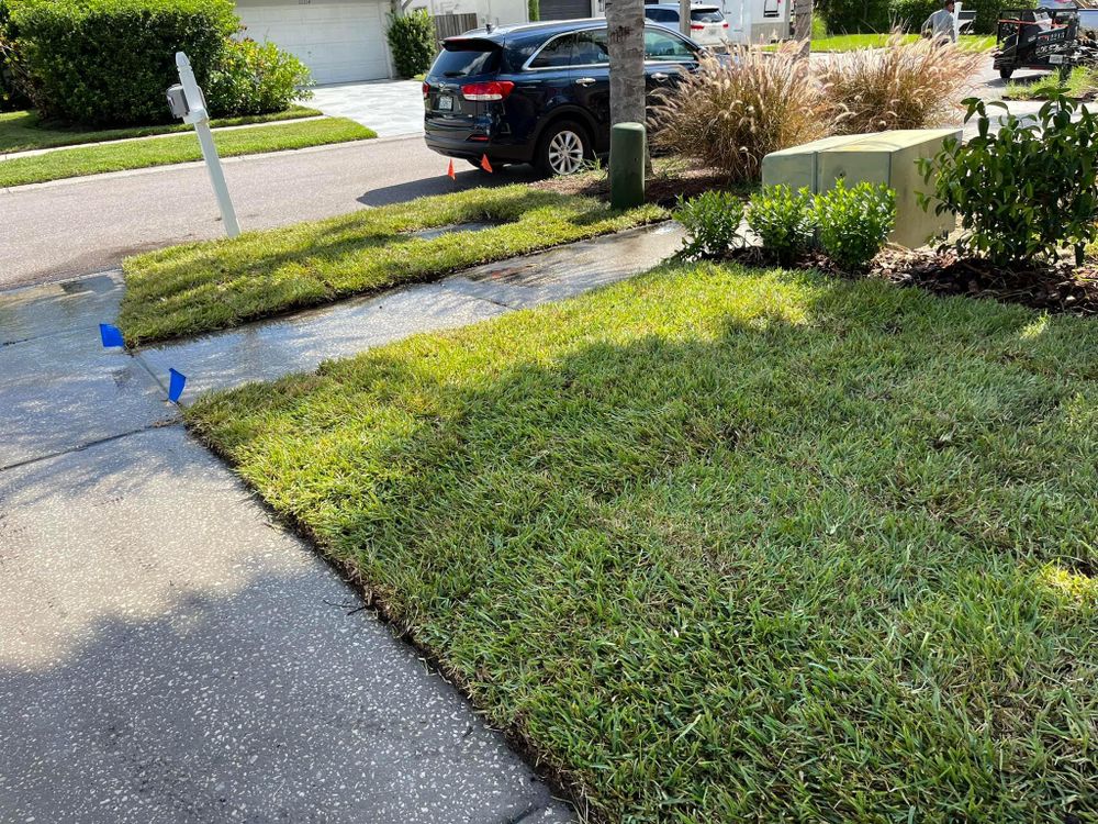 Landscape Design and Installation for Verimay's Garden and Landscaping in Hillsborough County, FL