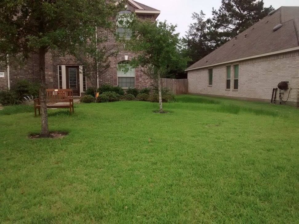 Lawn Care for Mitchell Maintenance in Dickinson, TX