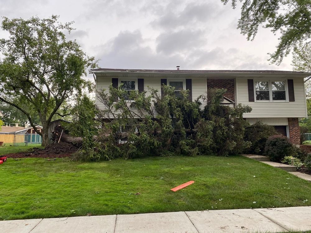 Tree Removal for Moreno Landscaping in Mundelein, IL