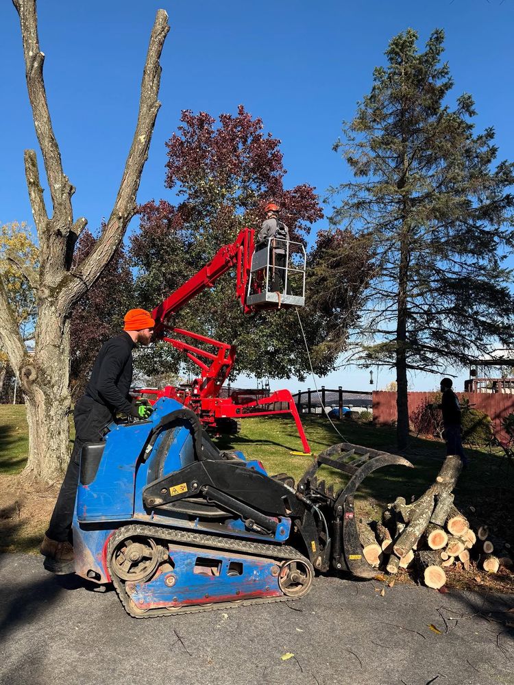 All Photos for Mark's Multiple Landscaping in Pittsburgh, PA