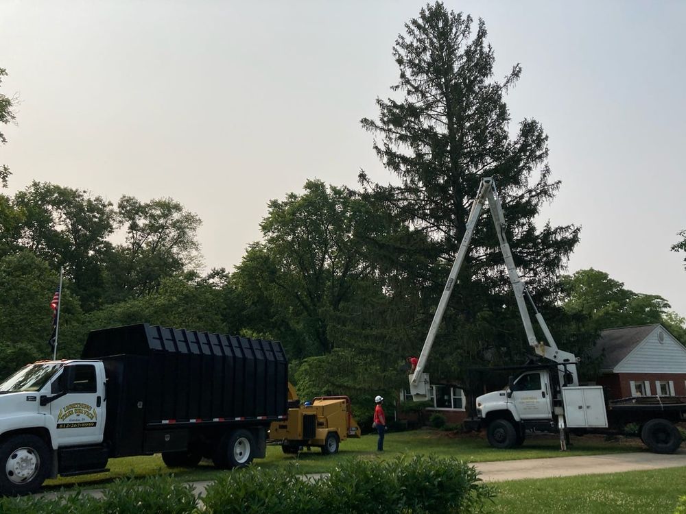 Tree Removal for Lightning Tree Service in Corydon, IN