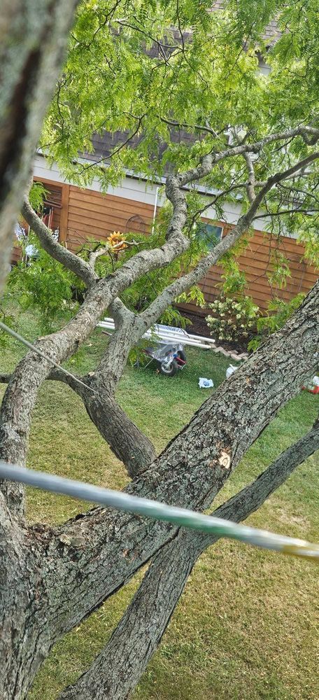 All Photos for Highborn Tree Service in Wheatfield, IN