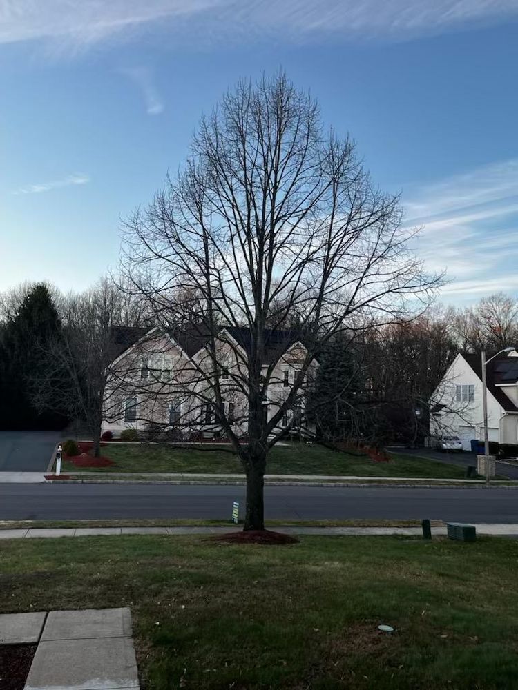 All Photos for Unique Outdoor Lighting in Short Hills, NJ