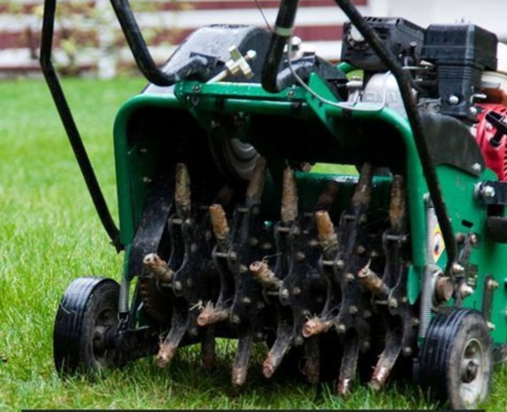 All Photos for Curb Appeal Lawn Care in Kansas City, Kansas