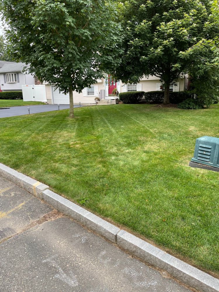 All Photos for Adams Landscaping in Springfield, MA