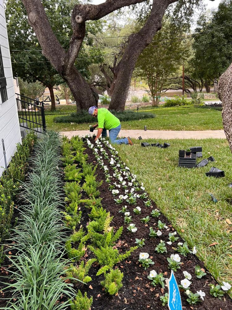 Landscaping for Espinoza Landscape & Construction  in San Antonio, TX