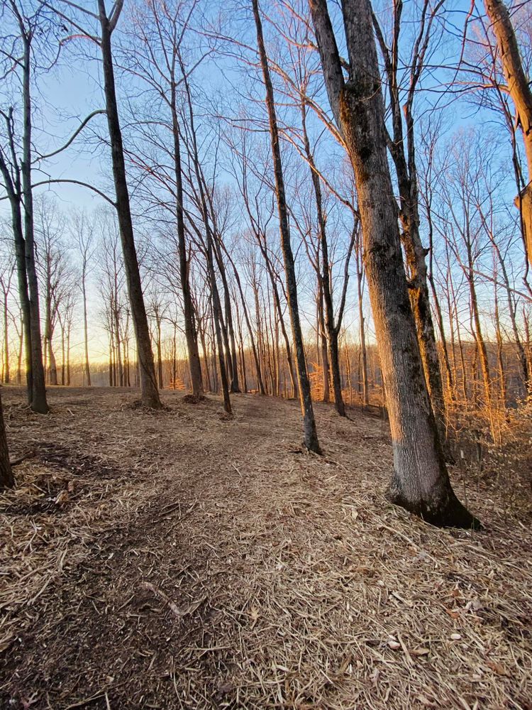 All Photos for Green Land Management in Mount Pleasant, TN