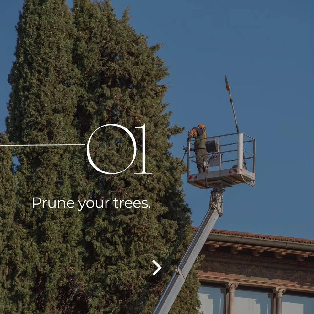 All Photos for Oakwood Tree Removal LLC in Oak Creek,  WI