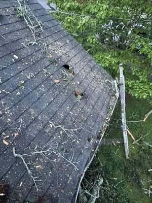 All Photos for Bulldawg Disaster Response in Atlanta, GA