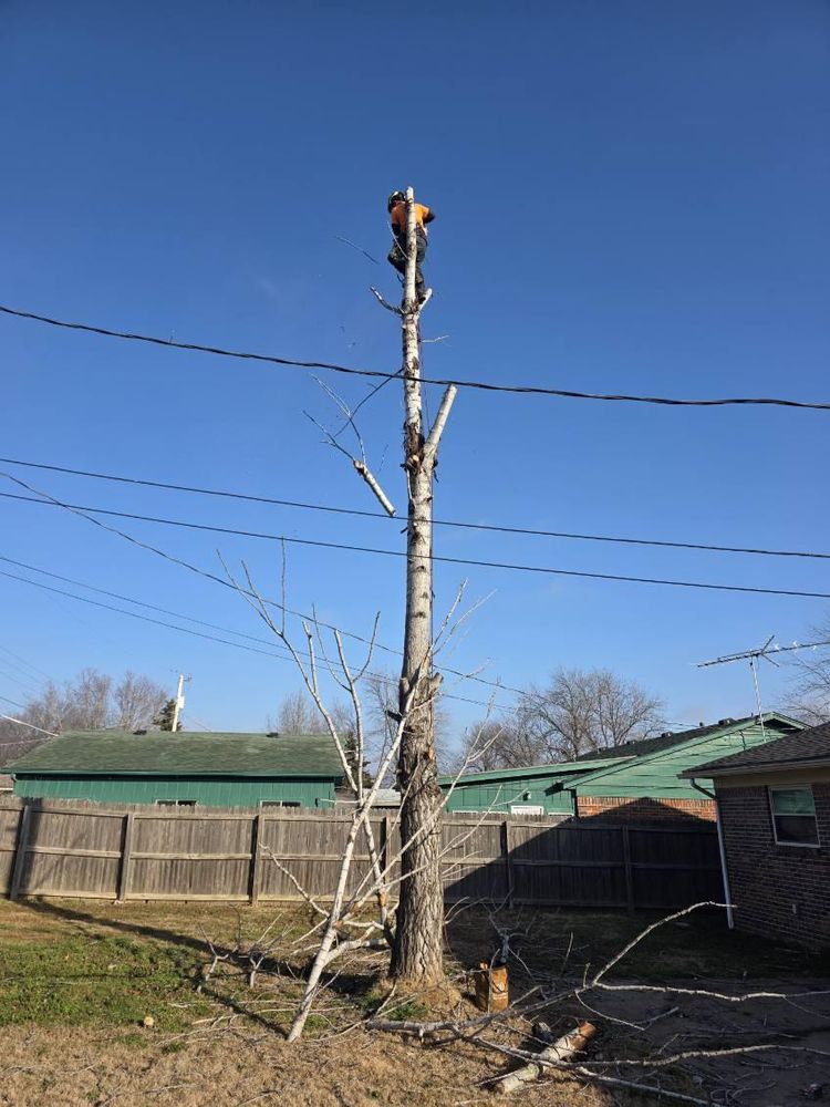 All Photos for Oklahoma Tree Guy in Bartlesville, OK