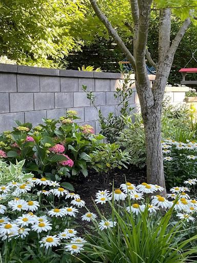 All Photos for Courtney Lewis Landscape Design in Portland, OR