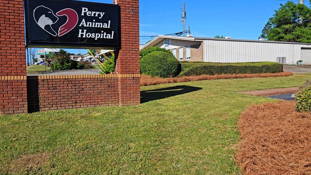 All Photos for Zepeda's Mowing in Fort Valley, GA