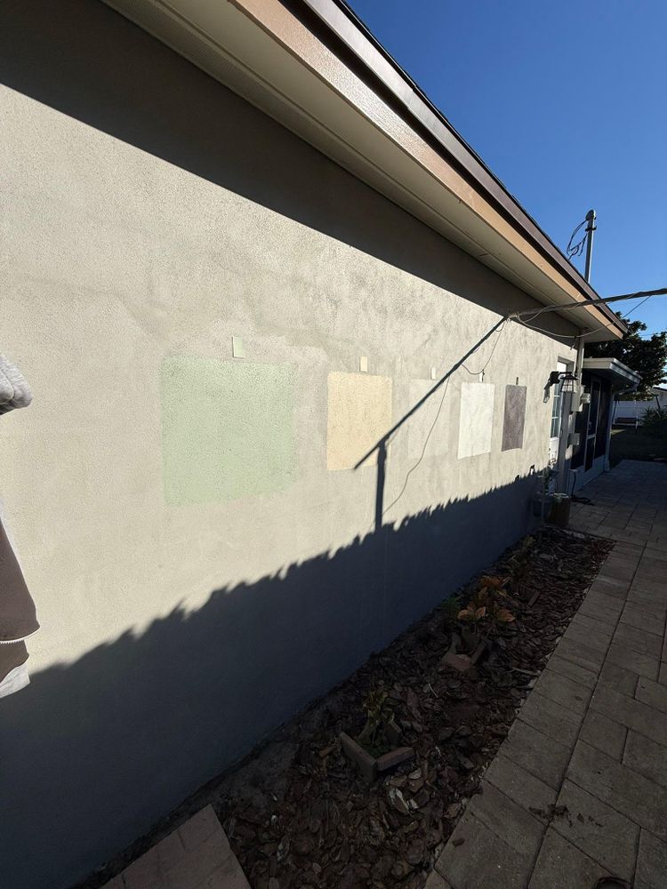 All Photos for Escorpio Painting in Tampa, FL