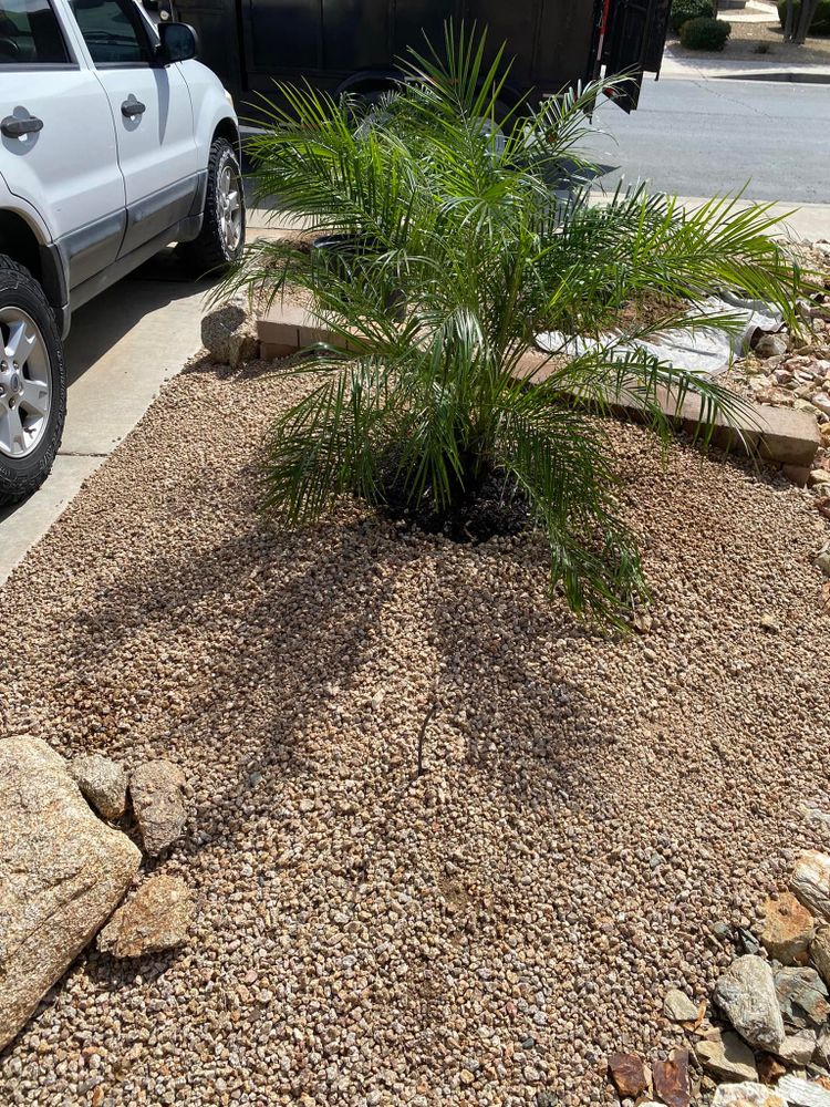 All Photos for Ramirez Landscaping in El Mirage, AZ