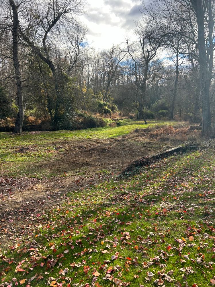 All Photos for Hingewood Tree Service in Salem, NJ