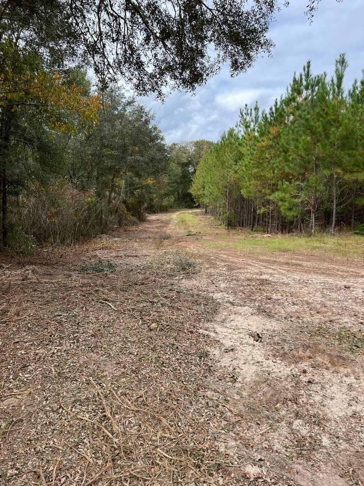 Enhance your property's beauty with our land clearing service, perfect for fall and spring clean up, removing unwanted underbrush and debris to prepare your landscape for each season. for Thompson Forestry Mulching & Stump Grinding in Douglas, GA