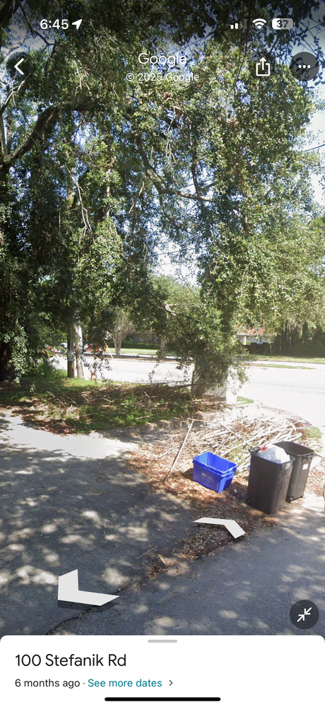 All Photos for Amerigrown Tree And Lawn in Apopka, FL