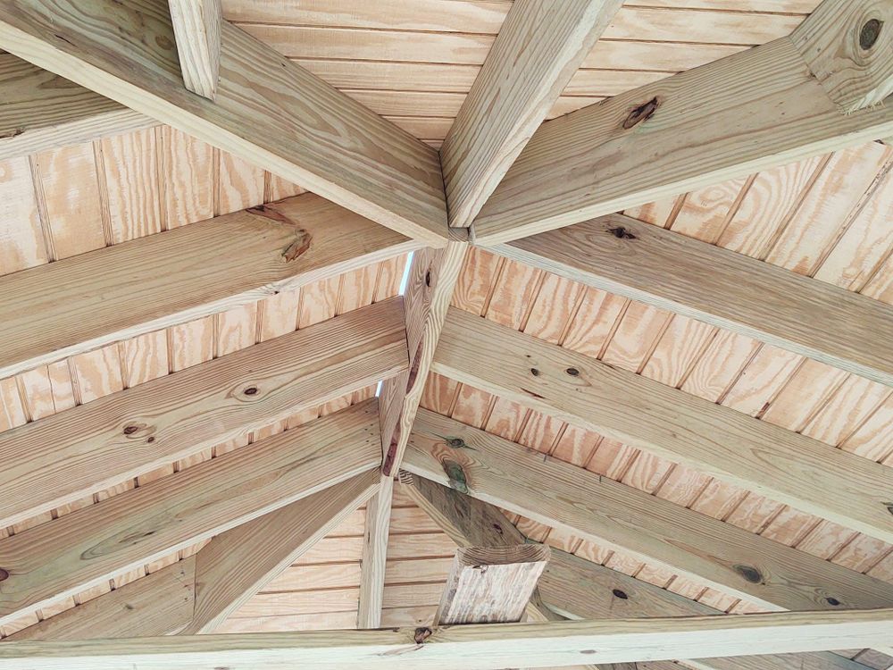 Tree Services for Global Tree Specialist in Huffman, TX