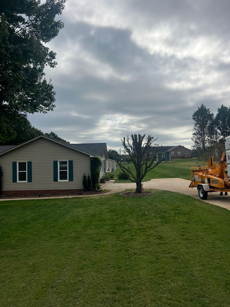All Photos for Brooks Tree Service, LLC in Casar, NC
