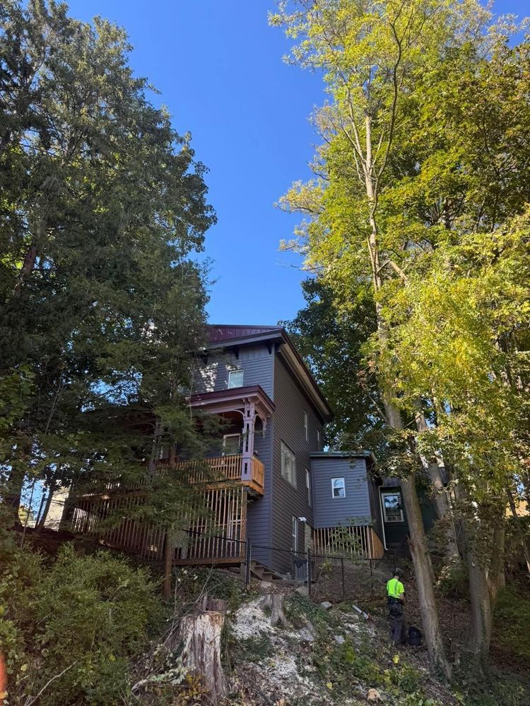 All Photos for Sterlings Tree Removal in Cobleskill, New York