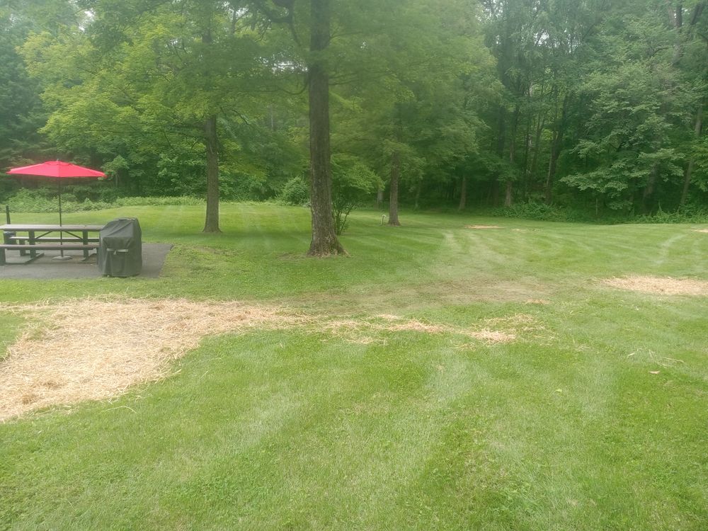 All Photos for K Brown's Property Maintenance in Pittsfield, MA