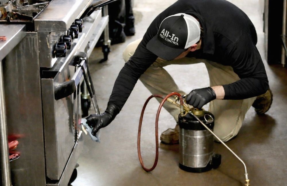 Our Pest Control service ensures a pest-free home with effective, eco-friendly treatments tailored to your needs, offering peace of mind and safeguarding your property against unwanted intruders year-round. for All-In Pest Control & Home Solutions in Greene County, IN