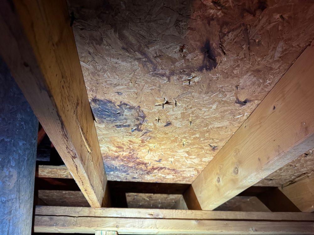 All Photos for FNS Exterior Consulting LLC, Powered By Live OAK in Cumming, GA