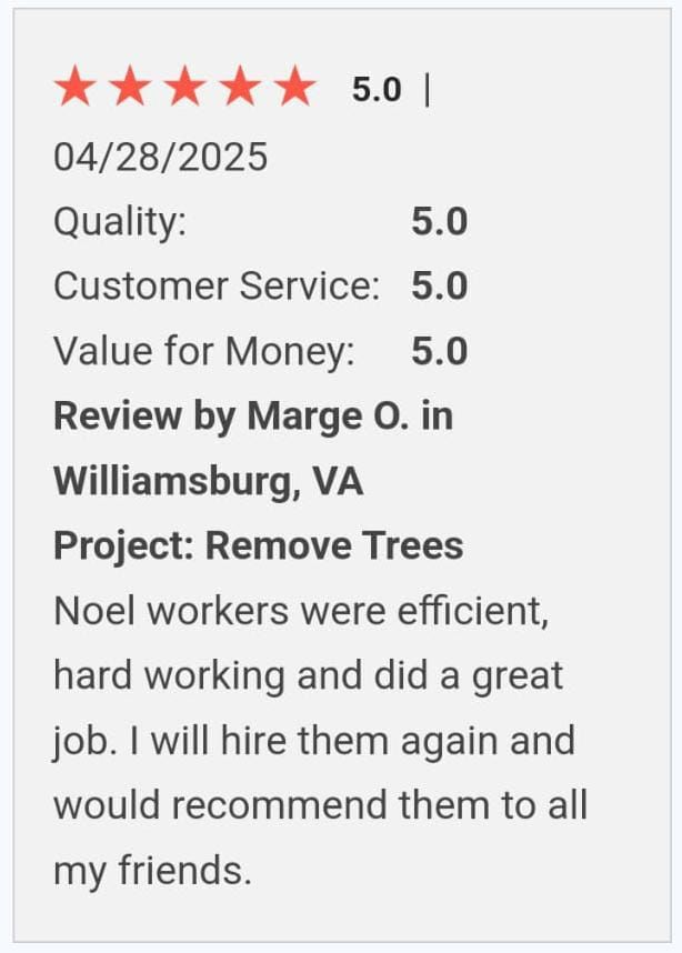 Tree Removal for Noel Velazquez Landscaping  in Williamsburg, VA