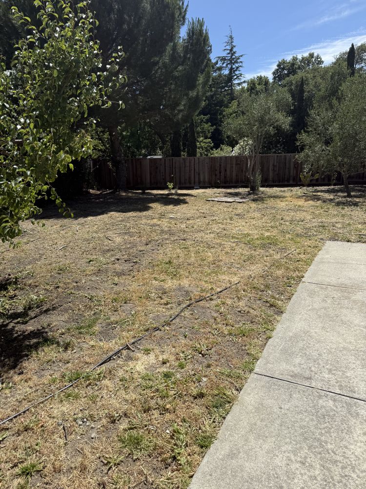 All Photos for CBA Landscaping in Hayward, CA