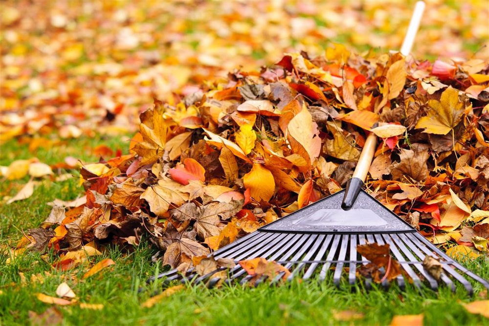 Our fall and spring clean up service ensures your lawn stays pristine year-round by removing debris, leaves, and preparing your landscape for the upcoming season's growth. for Emerald Exterior Property Management in Old Lyme, CT