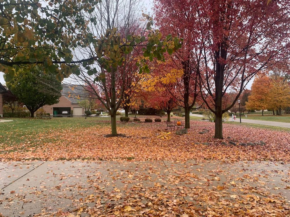 Fall Clean Up/ Leaf Removal for High Garden Landscapes in Middletown, Ohio