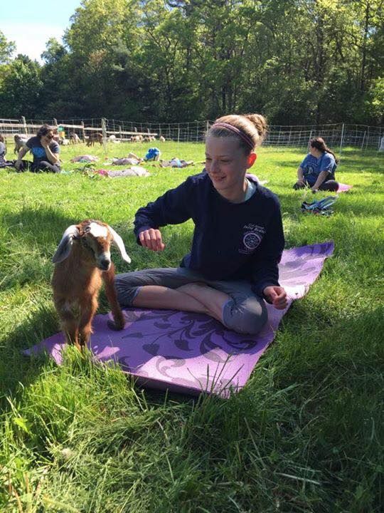 All Photos for Sam's Goatscapers of Boston in Boston, MA